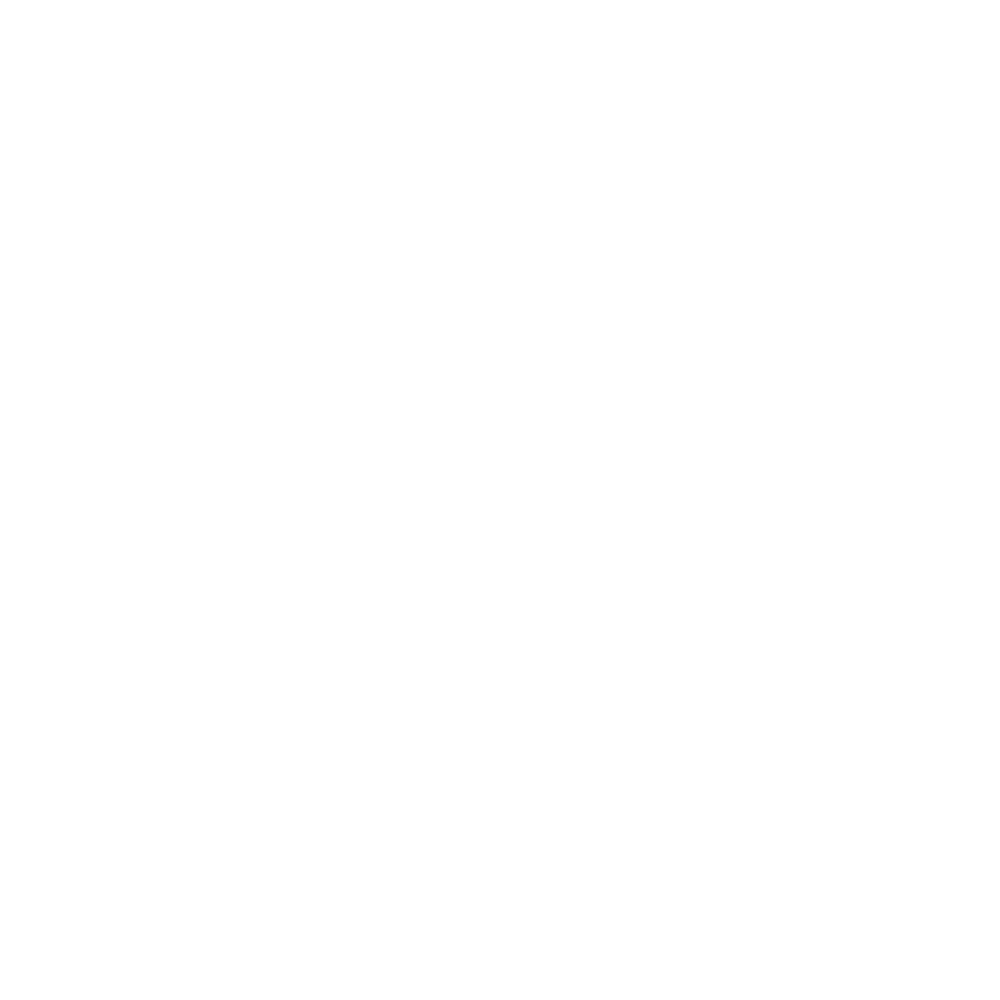 feature-item-4